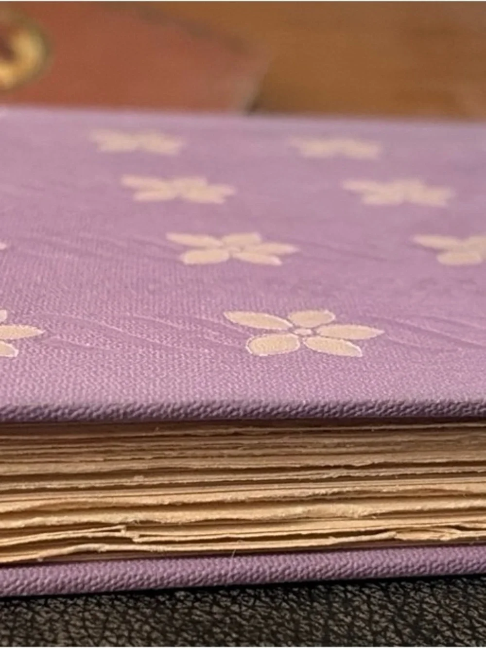 Antique 1910 1st Ed George Barr McCutcheon The Butterfly Man Hardcover in Purple
